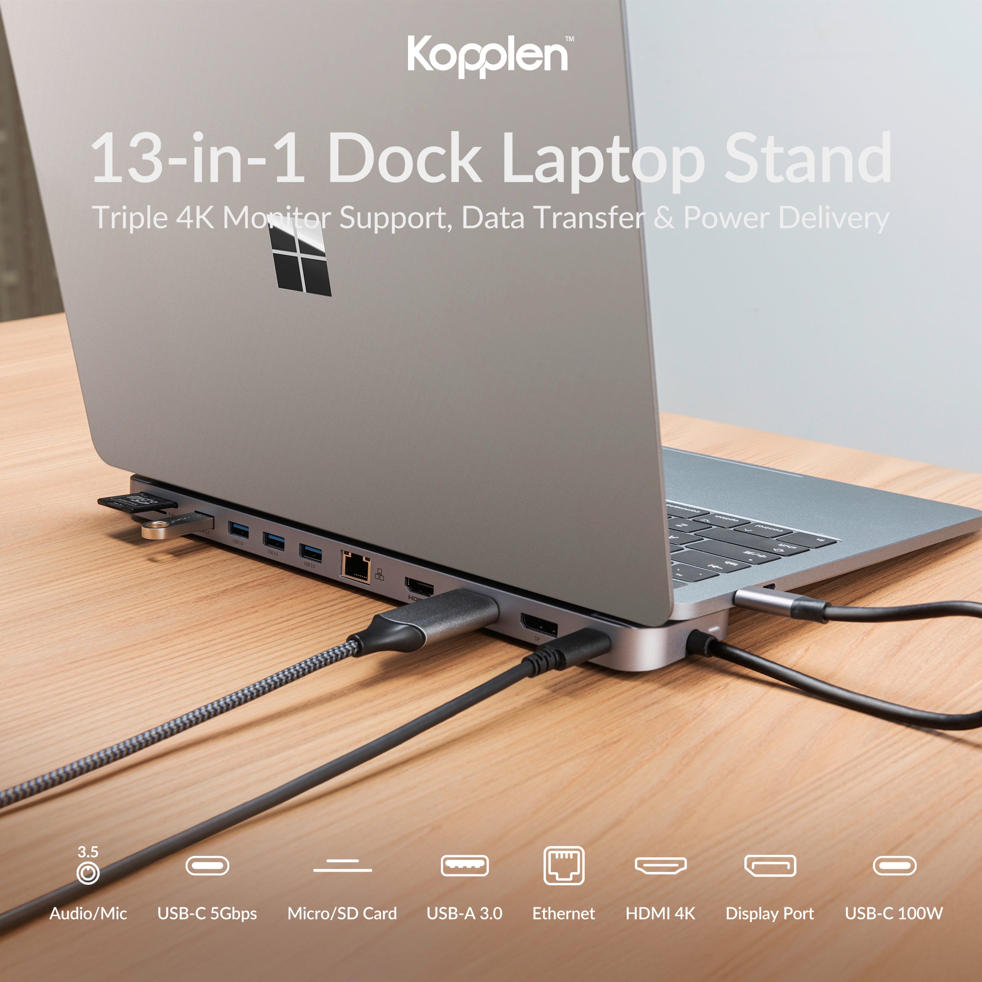 Marketing image of 13 port dock