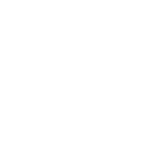 DisplayPort Icon