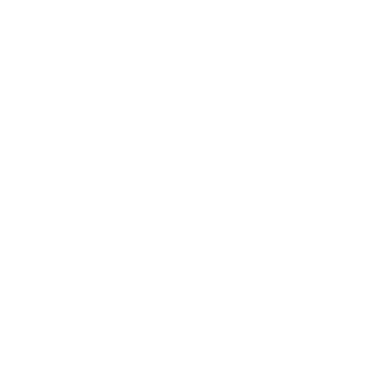 Ethernet_port Icon