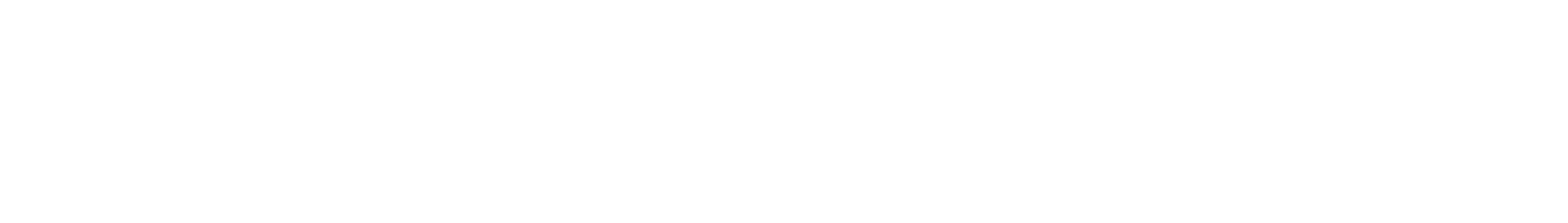 White SmartSupport Logo