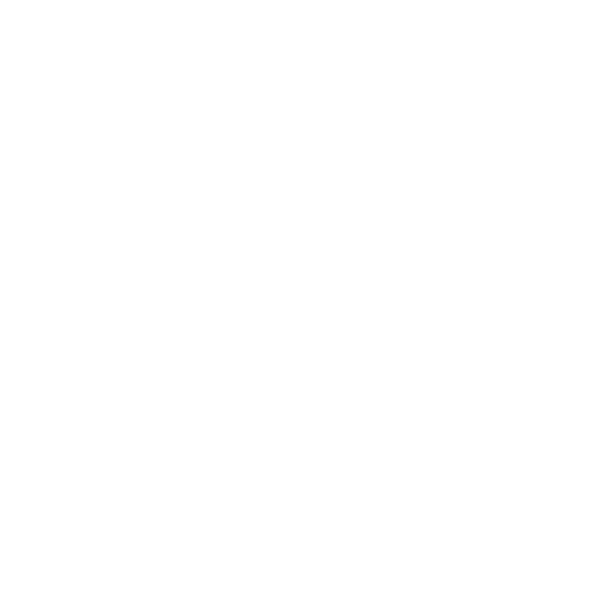 USB-C port icon